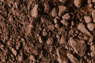 cocca powder